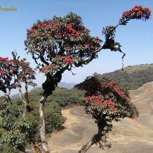 Meet your Posher, Sui